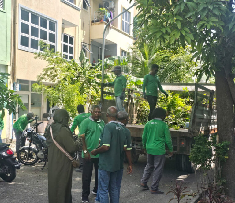 ހުޅުމާލެ ހެޖުތެރެއިން ނަގާ ބިޔަ ގަސްތައް ހުޅުމާލޭގެ އެކި ޕާކުތަކުގައި އިންދަނީ