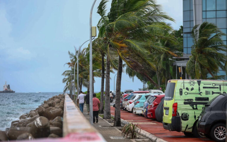 ހަފްތާ ބަންދުވެސް މޫސުން ގޯސް: މެޓް