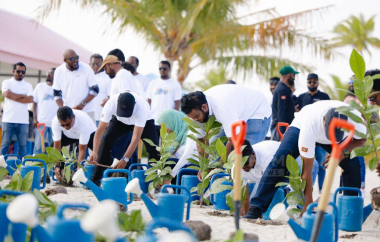 މިހާތަނަށް 8 ލައްކައަށްވުރެ ގިނަ ގަސް އިންދައިފި