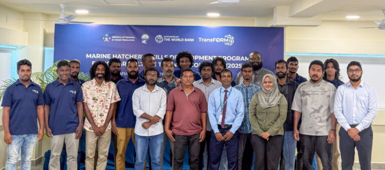 މެރިކަލްޗަރ ހުނަރު ޕްރޮގުރާމުގެ 2 ވަނަ ބުރު ނިންމާލައިފި