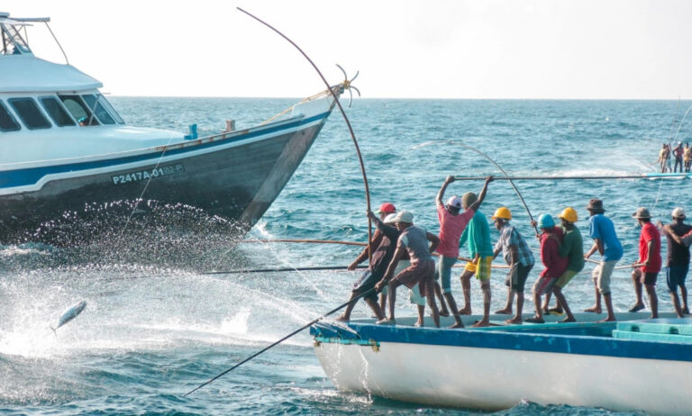 ކެޔޮޅުންގެ އެވޯޑާއި ޚިދުމަތްތެރި ފަރުމަސްވެރިޔާގެ އެވޯޑަށް ކުރިމަތުލުމުގެ މުއްދަތު އިތުރުކޮށްފި