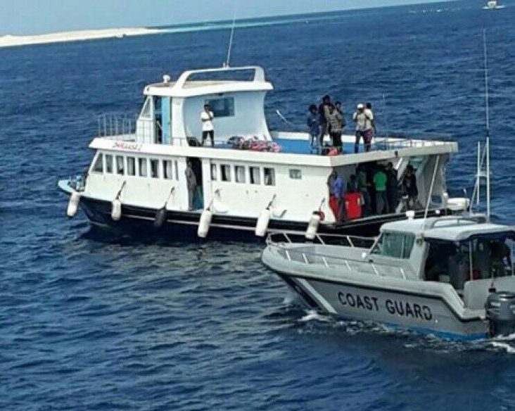 mndf