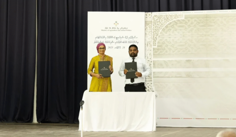 ކާނާގެ ޔަގީންކަން ކަށަވަރުކުރަން ކާށިދޫން ބިމެއް ހަމަޖައްސައިފި