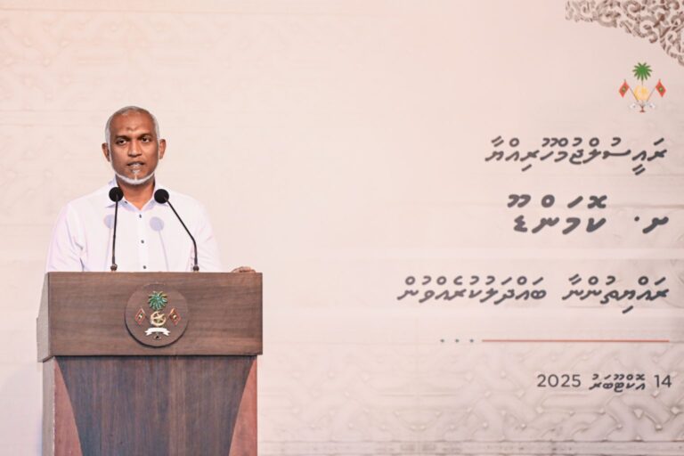 އޮންލައިން ވިޔަފާރީގެ އެންމެ ފުޅާ، ޕޭޕަލް ފަދަ ޕްލެޓްފޯމްތައް ދިވެހީންގެ އަތްމައްޗަށް ގެނެސްދޭނަން: ރައީސް