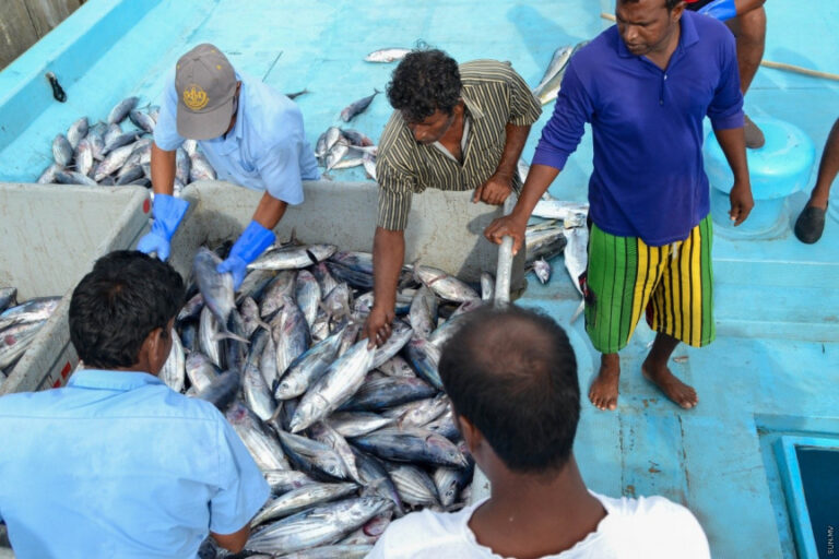ކެޔޮޅުންގެ އެވޯޑާއި ޚިދުމަތްތެރި ފަރުމަސްވެރިޔާގެ އެވޯޑަށް ހުޅުވާލައިފި