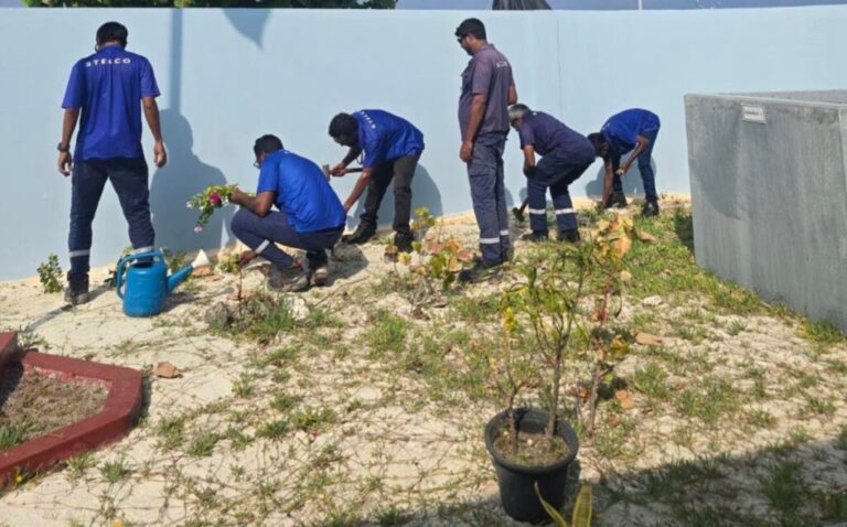 ސްޓެލްކޯއިން ޚިދުމަތްދޭ ހުރިހާ ރަށެއްގައި ގަސް އިންދުމުގެ ހަރަކާތެއް ފަށައިފި