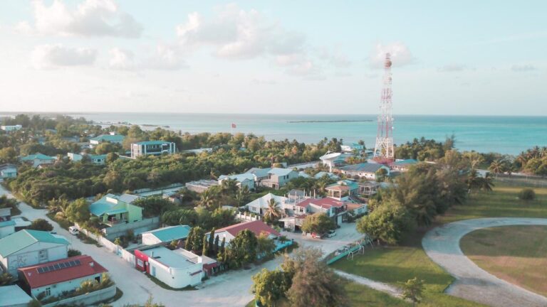ހިތަދޫ ފްލެޓަކުން ވެއްޓުނު ކުއްޖަކަށް ފަރުވާދެނީ