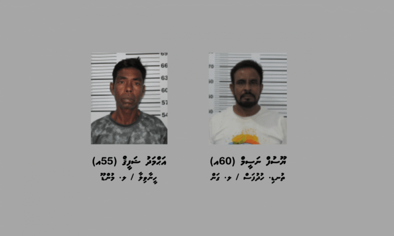 މަސްތުވާތަކެތީގެ މައްސަލައެއްގައި ލ. އަތޮޅުން ދެ މީހަކު ހައްޔަރުކޮށްފި