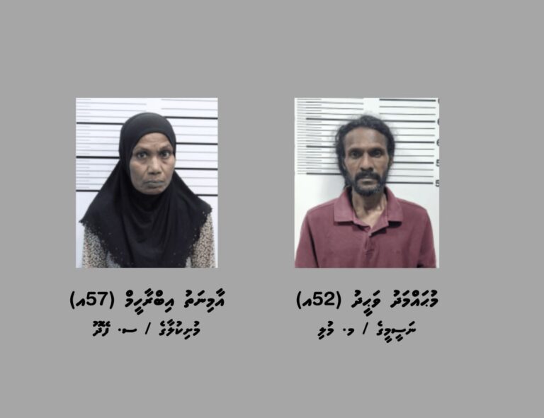 މަސްތުވާތަކެތީގެ ވިޔަފާރި ކުރުމުގެ މައްސަލައެއްގައި ހިޔާ ފްލެޓުން ދެ މީހަކު ހައްޔަރުކޮށްފި