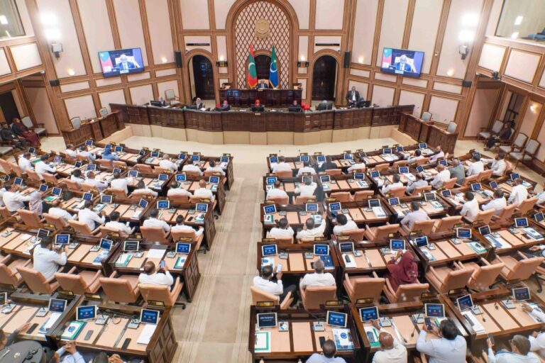 ސައިބަރ ވެށި ރައްކާތެރިކުރުމަށް މުހިންމު ބިލެއް މަޖިލީހަށް ހުށަހަޅައިފި