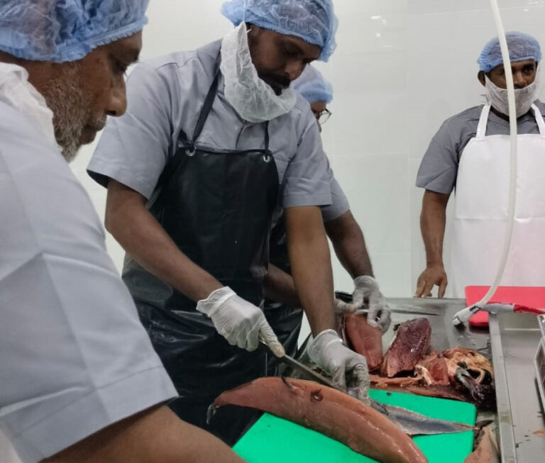ފުވައްމުލަކު މަސް ޕްރޮސެސިން ފެސިލިޓީގެ ޚިދުމަތް ފަށަނީ