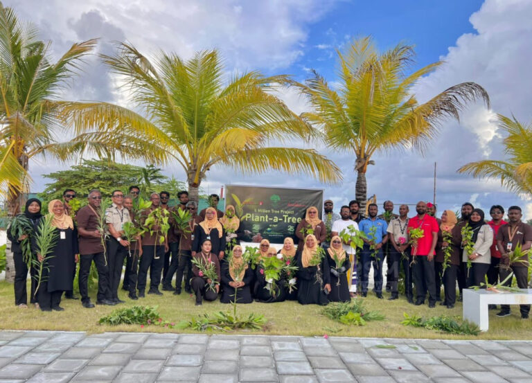 މިހާތަނަށް މިލިޔަނަކަށްވުރެ ގިނަ ގަސް އިންދައިފި