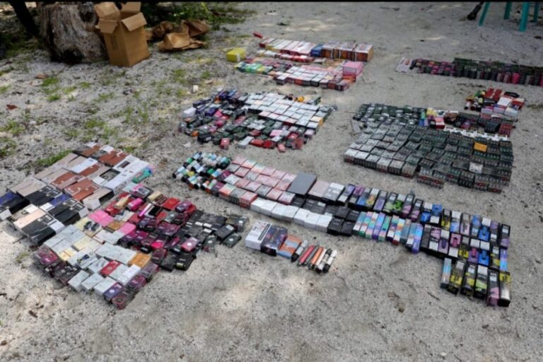 ފުލުހުންގެ ބެލުމުގެ ދަށުގައި ހުރި ވޭޕް ސާމާނުތައް ނައްތާލައިފި