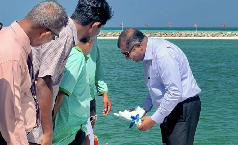 ތަރިކައިގެ ވަޒީރު ބ. ތުޅާދުއަށް