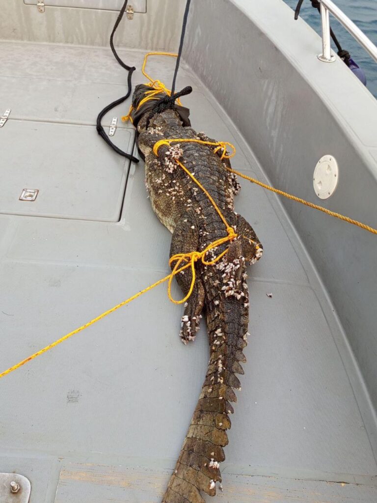 Photo 6213195820811619098 y