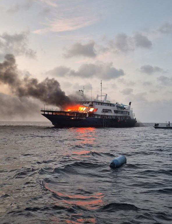 Photo 6224361988456909609 x