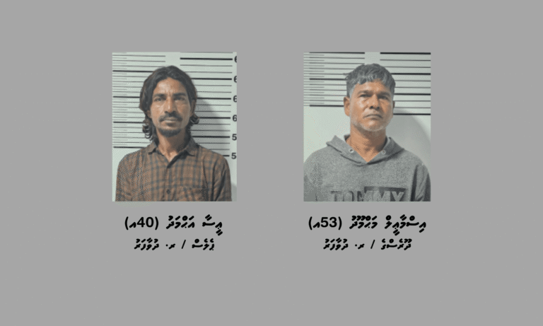 ދުވަފާރަށް މަސްތުވާތަކެތި އެތެރެކުރަން އުޅުނުކަމުގެ ތުހުމަތުގައި ދެމީހުން ހައްޔަރުކޮށްފި