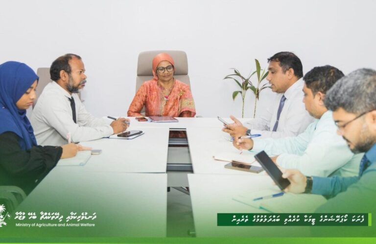 ދަނޑުތަކަށް ފަސޭހަކަމާއެކު ކަރަންޓާއި ފެން ލިބޭނެގޮތް ހަމަޖައްސަން މަޝްވަރާކޮށްފި