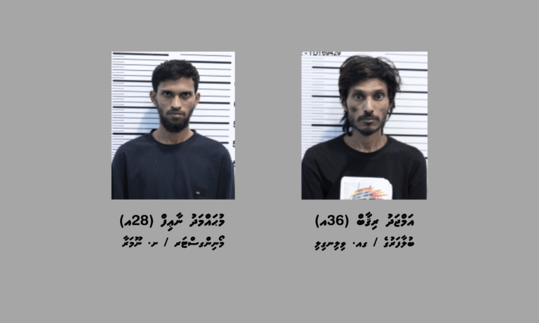 ގިނަ އަދަދެއްގެ މަސްތުވާތަކެއްޗާއެކު މާލެއިން ދެ މީހަކު ހައްޔަރުކޮށްފި