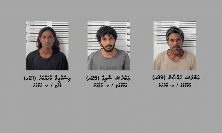 ދުވާފަރަށް މަސްތުވާތަކެތި ގެންދަން އުޅުނު ތިން މީހަކު ހައްޔަރުކޮށްފި