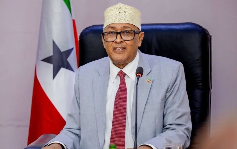 ސޯމާލިލޭންޑަށް “މިނިވަންކަން”  ހޯދައިދިނުމުގެ ނަމުގައި އިސްލާމްދީން ވިއްކާލިމީހާ