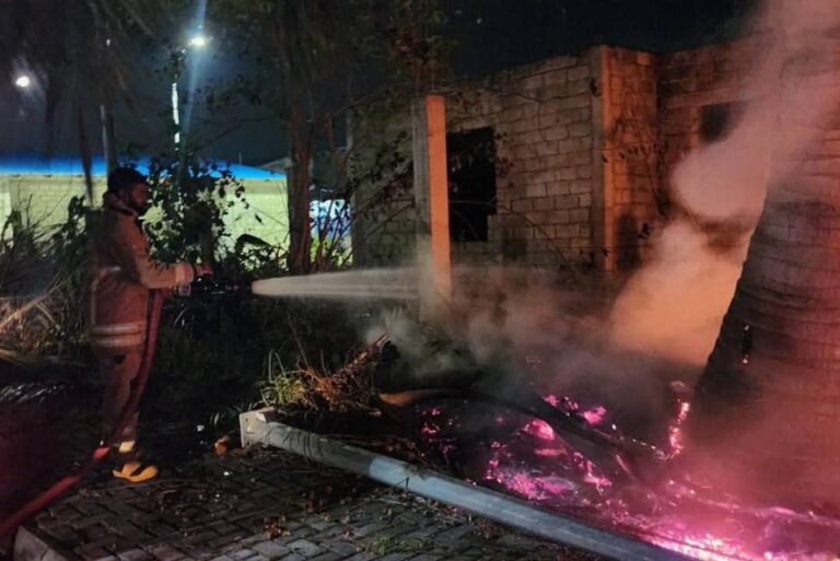 އައްޑޫ ނޭޗާޕާކް ކައިރީގައި ރޯވި އަލިފާން އެމްއެންޑީއެފް އިން ނިއްވާލައިފި