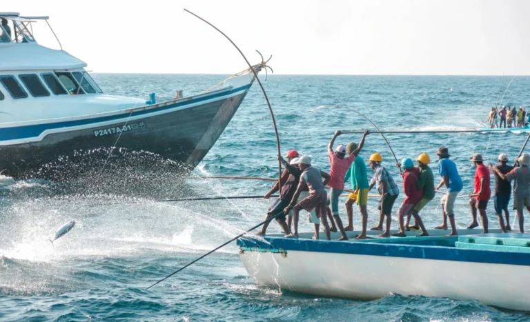 ފުރަތަމަ ކުއާޓަރުގައި މަސްވެރިންނަށް 88.8 މިލިޔަން ރުފިޔާ ދޫކޮށްފި