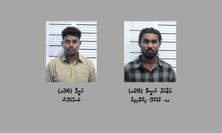 ތިން ކިލޯއަށްވުރެ ގިނަ މަސްތުވާތަކެއްޗާއެކު ދެ މީހަކު ހައްޔަރުކޮށްފި