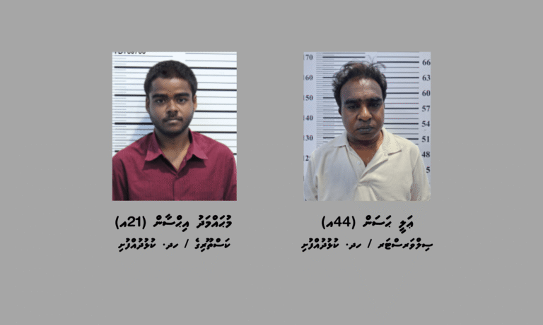ކުއްޖާއަށް ޖިންސީގޯނާކުރި ކަމުގެ ތުހުމަތުގައި ދެމީހަކު ހައްޔަރުކޮށްފި