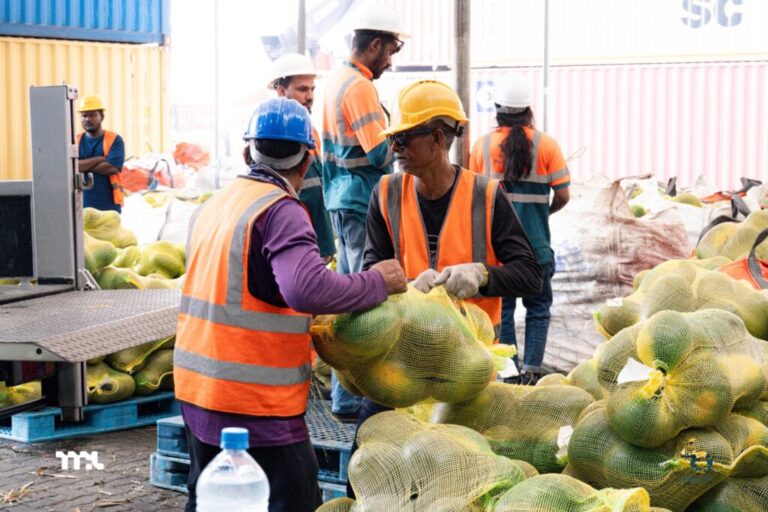 އެމްޕީއެލް އިން އިއްޔެ 4،135 ޓަނުގެ މުދާ ކްލިއާކުރި، ގިނައީ ކަރާ