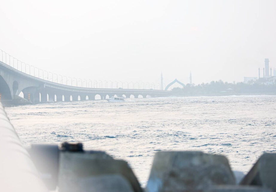 Big 91sMjTK40nvtxWjpElKbJ2qVK