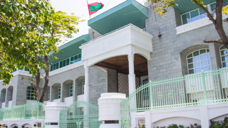 ސަރުކާރަށް ބޭނުންވާ ފަންނީ ލަފަޔާއި މަޝްވަރާ ދިނުމަށް އެކުލަވާލާ 3 ކޮމިޓީއެއްގެ މެންބަރުކަމަށް ކުރިމަތިލުމުގެ ފުރުސަތު