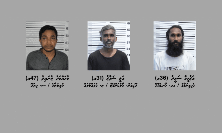 ސްކޭމްކޮށްގެން ފައިސާ ހޯދި މައްސަލަތަކަކާ ގުޅިގެން ތިންމީހުން ހައްޔަރުކޮށްފި