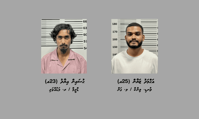 މަސްތުވާތަކެއްޗާއެކު ހުޅުމާލެއިން ދެ މީހަކު ހައްޔަރުކޮށްފި