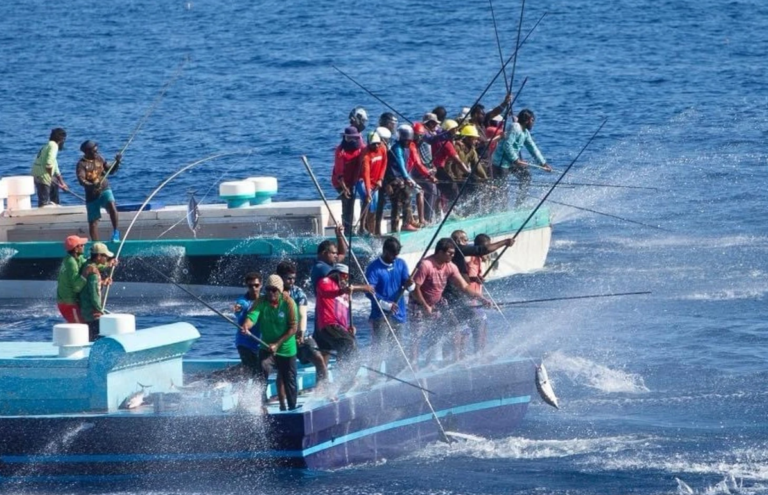 89 މަސްވެރިއަކަށް ލޯނު ދޫކޮށްފި