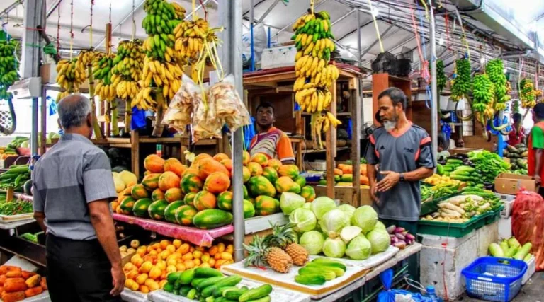 އަސާސީ ބާވަތްތައް މެދުނުކެނޑި ލިބޭނެކަން ކަށަވަރު ކުރާނެ: ސަރުކާރު