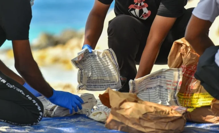 ދޮޅު މަހުން 72 މިލިއަން ރުފިޔާގެ މަސްތުވާތަކެތި އަތުލައިގެންފި