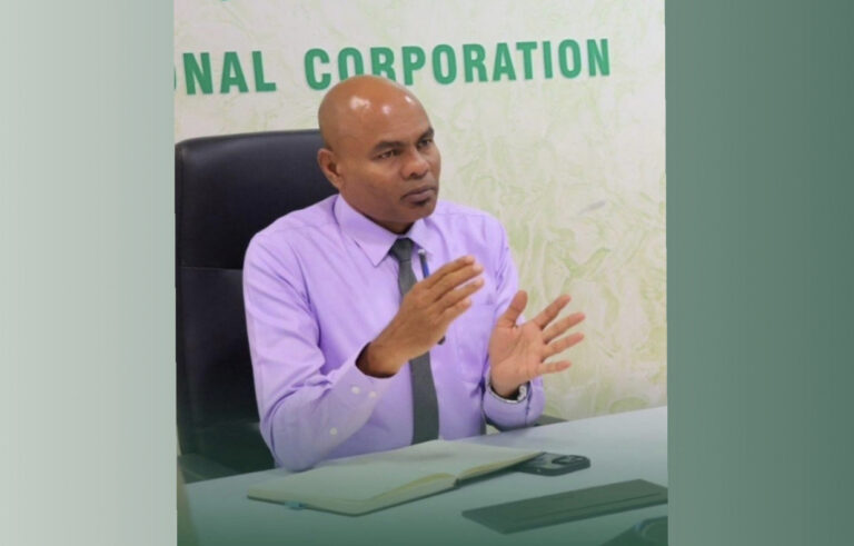 އެގްރޯ ނެޓްގެ  މެނޭޖިން ޑިރެކްޓަރުގެ މަގާމުން ހުސައިން ދީދީ ވަކިކޮށްފި