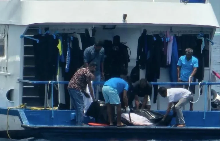 ދޯންޏެއްގެ ބުރަފަތީގައި ޖެހި ފަތުރުވެރިޔަކު މަރުވެއްޖެ