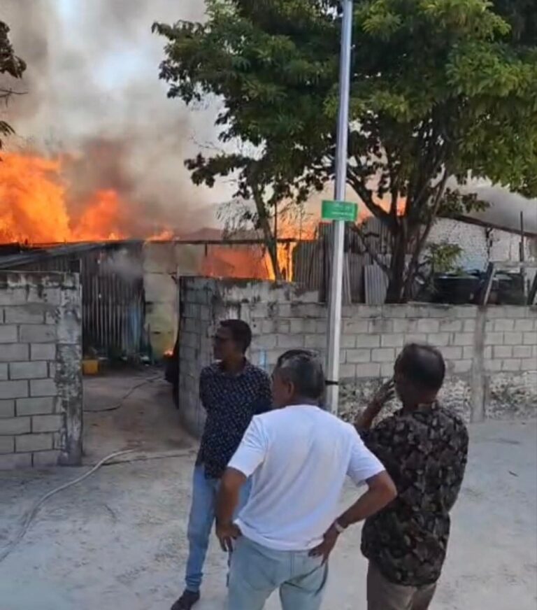 އަލިފުށީ ގެއެއްގައި ރޯވެ އަނދަނީ