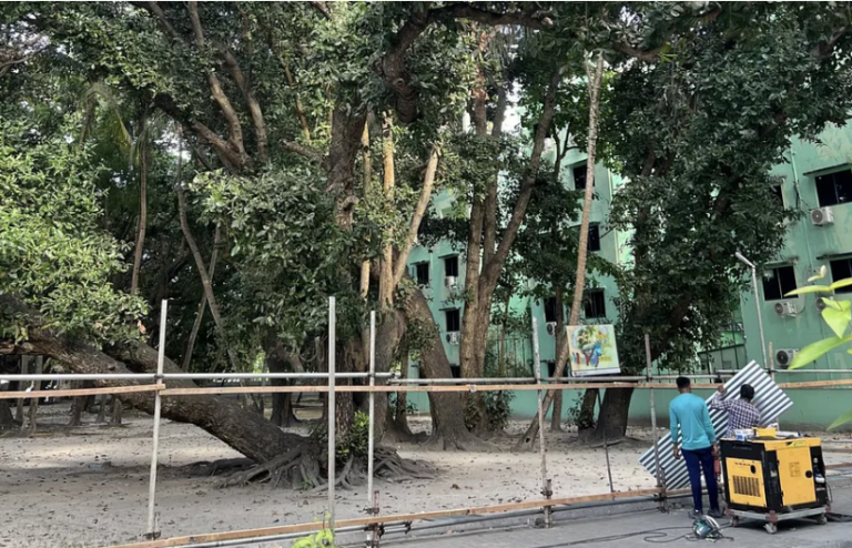 ފުނަގަސްތައް ނުކަނޑަން ނިންމައި، ފްލެޓު ޓަވަރު އެހެން ސަރަޙައްދަކަށް