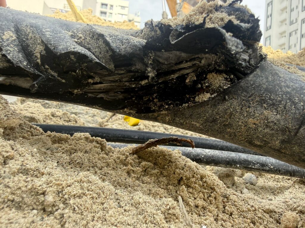 WhatsApp Image 2026 04 25 at 15.44.41 (2)