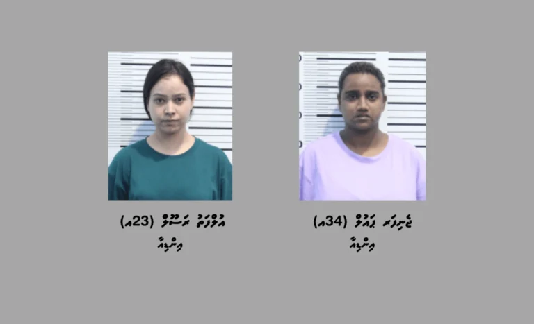 ރާއްޖެއަށް މަސްތުވާތަކެތި އެތެރެކުރި ދެ މީހަކު ހައްޔަރުކޮށްފި