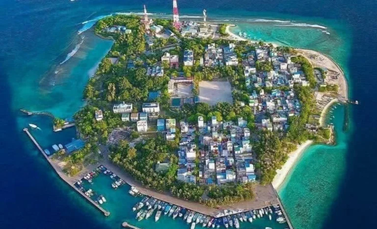 ވިލިމާލެ ފަޅުތެރެއަށް ފީނަން ގޮސް އުޅުނު މީހަކު މަރުވެއްޖެ