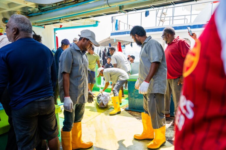 މަސްވެރިންނަށް މިއަދު 5 މިލިއަނަށްވުރެ ގިނަ ރުފިޔާ ދޫކޮށްފި: މިފްކޯ
