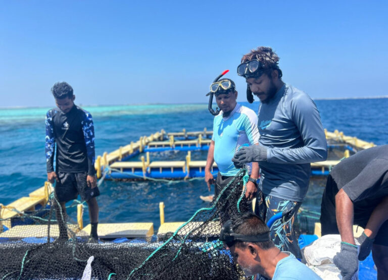 ފަރުމަސް އާލާކުރަން ދަސްކޮށްދޭ ޕްރޮގްރާމުގައި ބައިވެރިވުމަށް ހުޅުވާލައިފި