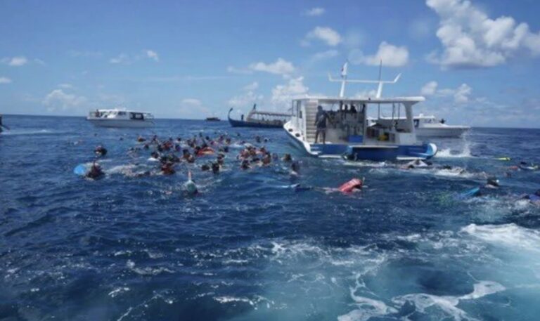 އދ. އަތޮޅުގެ ހިމާޔަތްކުރެވިފައިވާ ކަނޑުގެ ސަރަޙައްދުގައި ބުރަފަތީގައި ދާޖެހުން މަޖުބޫރުކޮށްފި