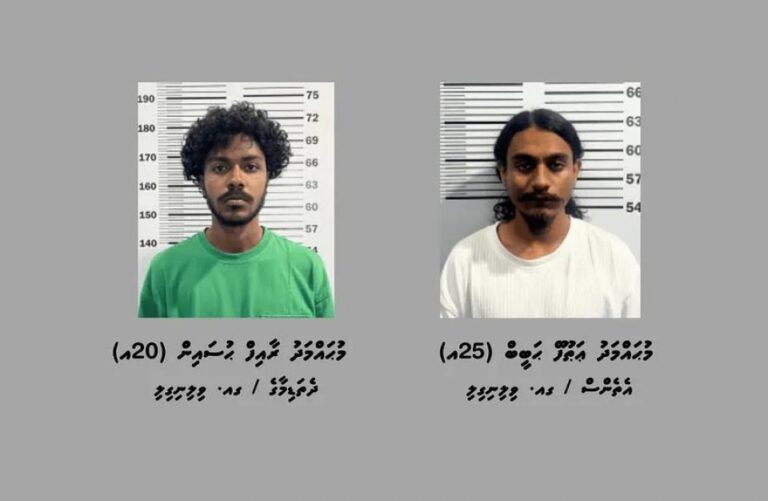 މަސްތުވާތަކެތީގެ ވިޔަފާރިކުރި ދެ މީހަކު ގއ. ވިލިނގިލިން ހައްޔަރުކޮށްފި