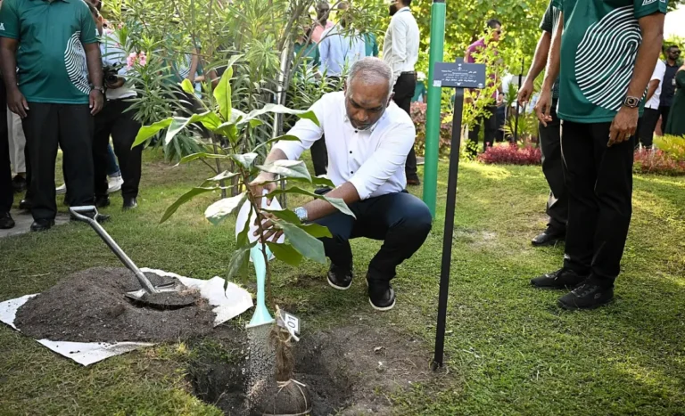ގަސް އިންދުމުގެ ހާއްސަ މަސައްކަތްތަކެއް ކޮށްދެއްވުމަކީ އަޅުގަނޑު ރައްޔިތުންގެ ކިބައިން އެދޭ ކަމެއް: ރައީސް