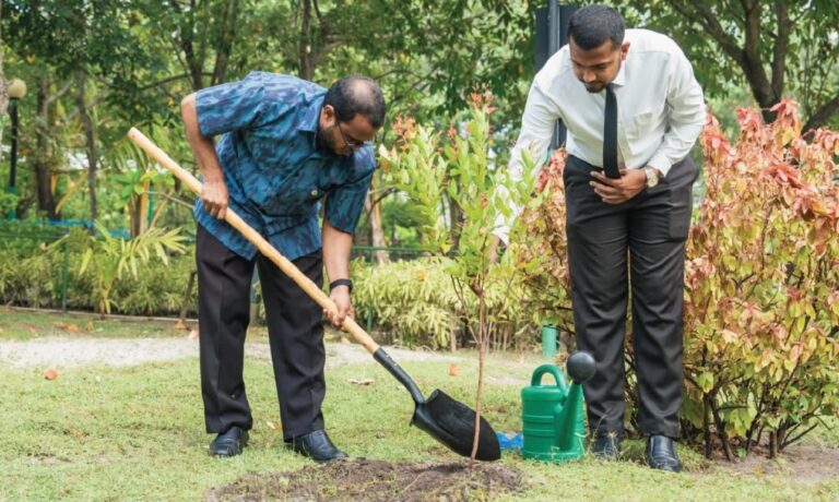 ބަންގްލަދޭޝް ސަރުކާރުން ރާއްޖެއަށް 20،000 ގަސް ހަދިޔާކޮށްފި